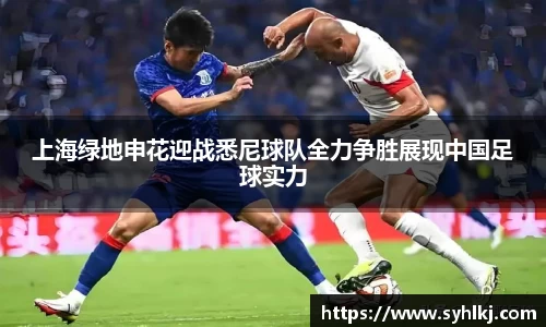 bsports官网入口