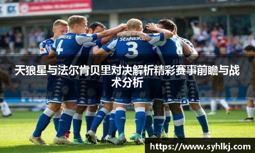天狼星与法尔肯贝里对决解析精彩赛事前瞻与战术分析