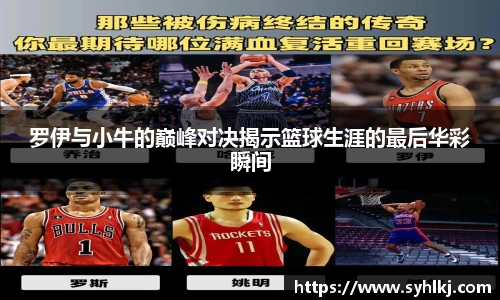 罗伊与小牛的巅峰对决揭示篮球生涯的最后华彩瞬间