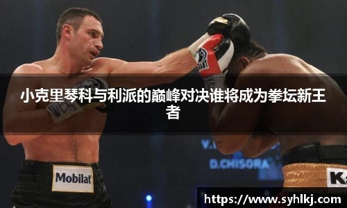小克里琴科与利派的巅峰对决谁将成为拳坛新王者