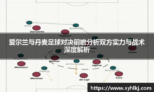 爱尔兰与丹麦足球对决前瞻分析双方实力与战术深度解析