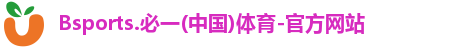 B体育官网